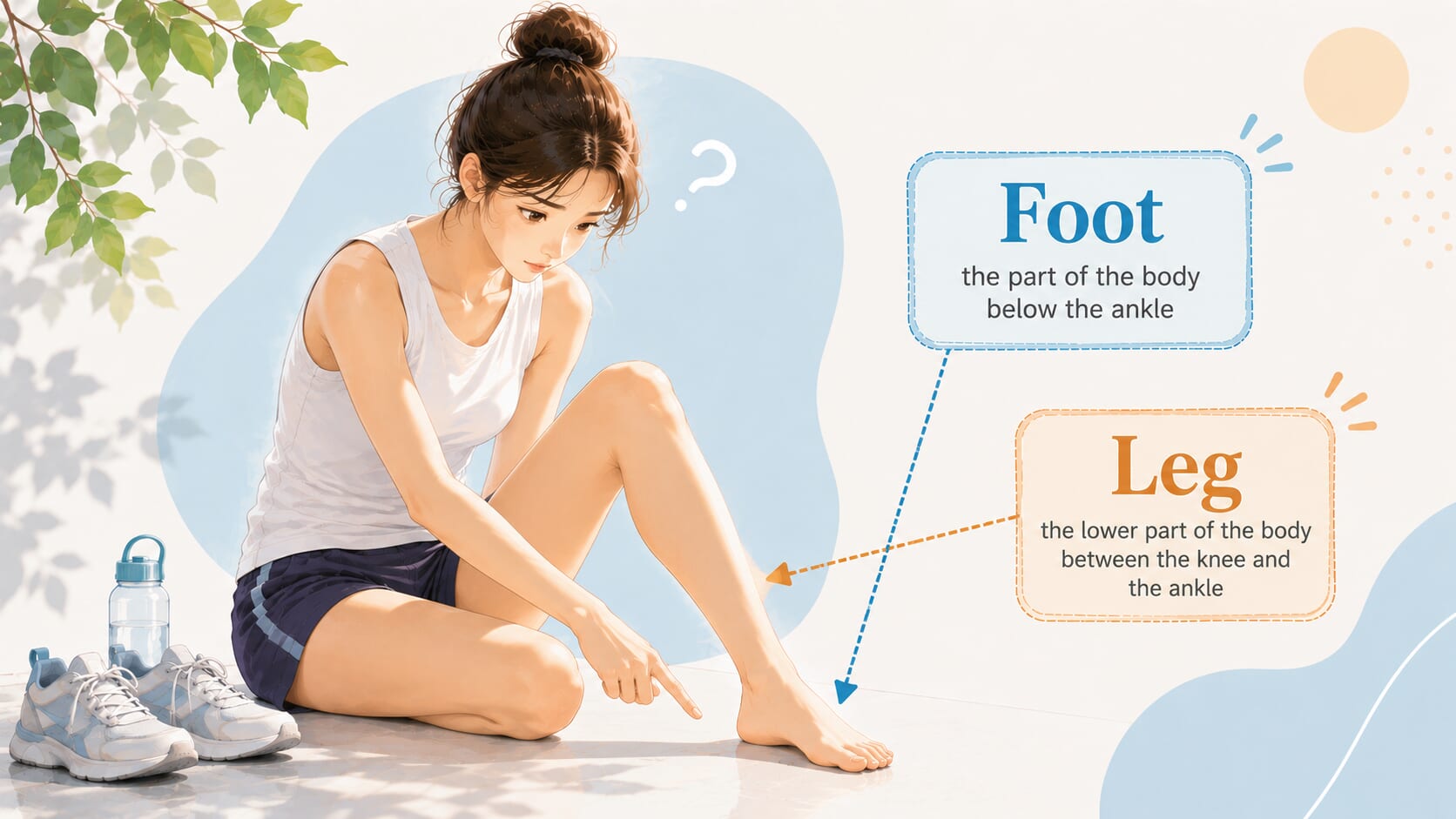 Foot 還是 Leg？腿、腳掌、腳跟、腳踝的英文說法