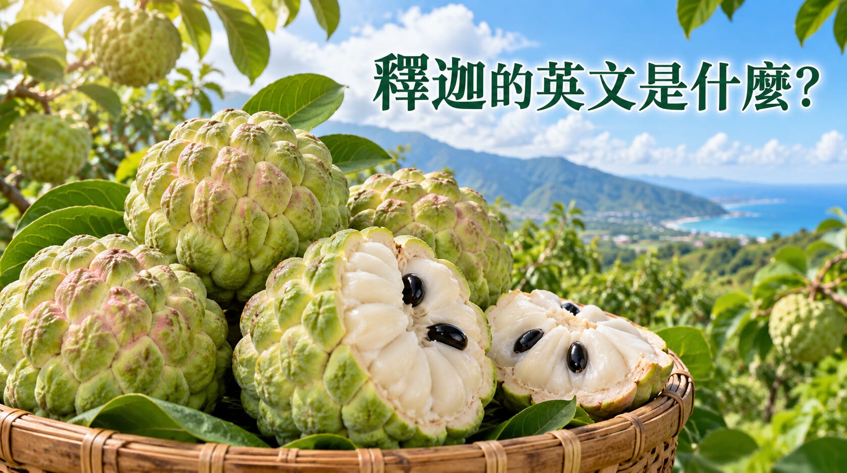 【台灣水果英文】釋迦的英文是什麼? 【台灣水果英文】釋迦的英文是什麼?